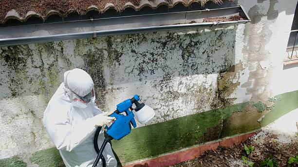 Trusted Commercial Mold Remediation service in Washington, GA - Cheap Mold Removal